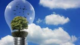 Decreto Ambiente un Flop
