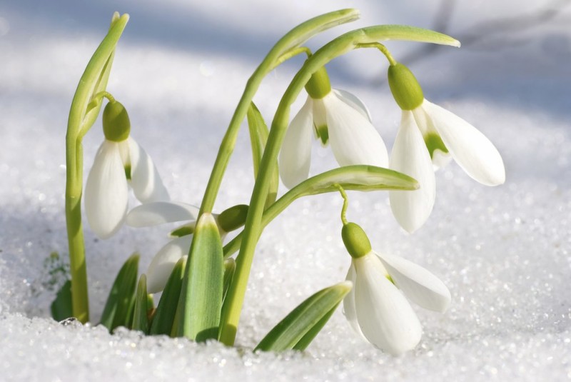 22 dicembre 2019 solstizio d'inverno