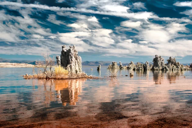 Alieni del Mono Lake: che resistono all'arsenico