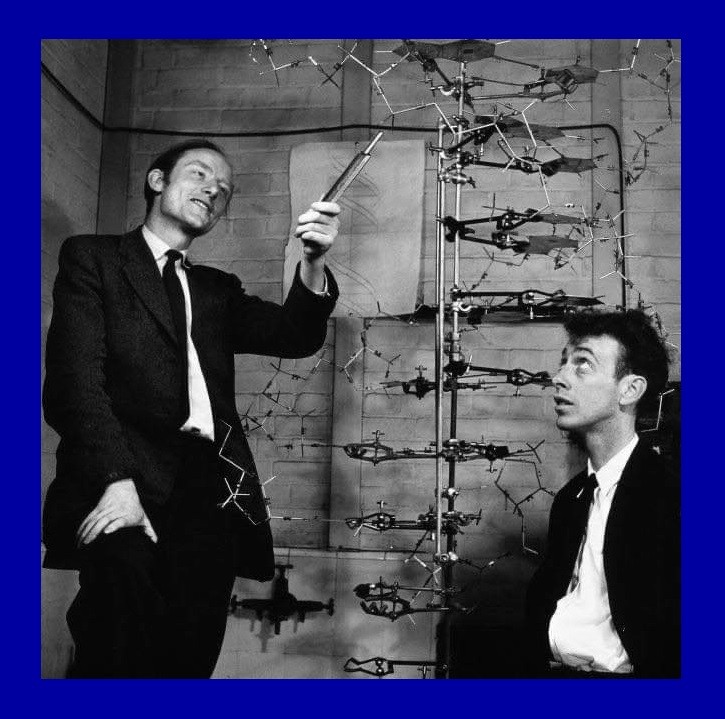 Accadde oggi - 28 Febbraio 1953 - Scoperta la struttura del DNA