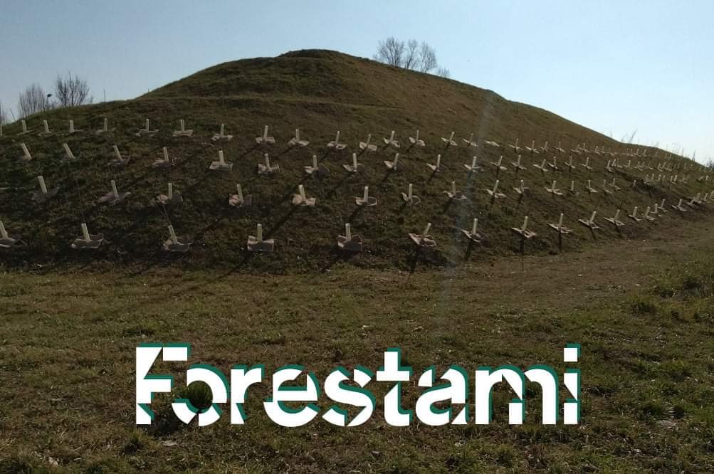 Sesto - PARTITO IL PROGETTO "FORESTAMI'