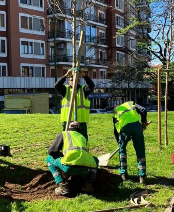 Sesto - 305 nuove piantumazioni di alberi nei parchi Bergamella e Marx-Cantore