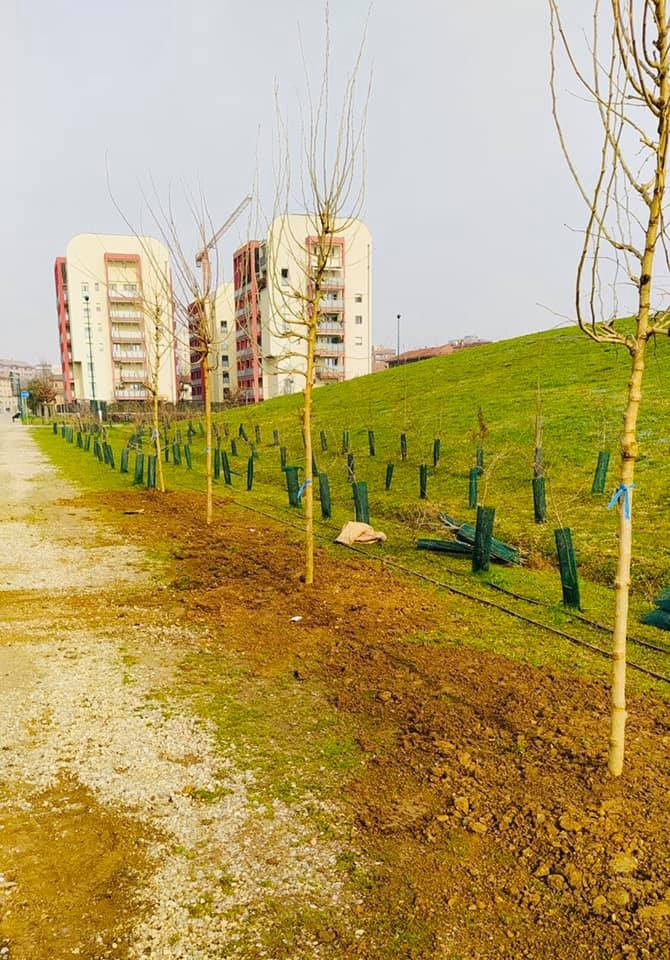 Sesto - APPROVATO PROGETTO PISTA CICLO-PEDONALE PARCO BERGAMELLA