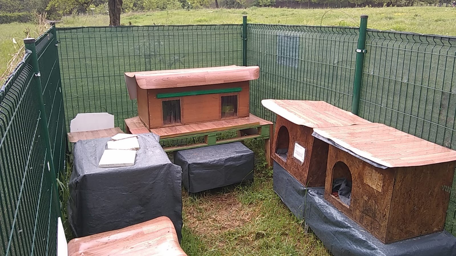 Sesto - COLONIE FELINE, NUOVE SISTEMAZIONI