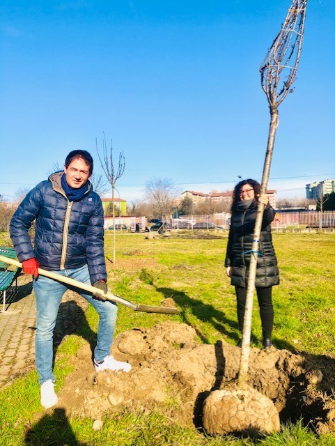 Sesto - Verde cominciate le piantumazioni compensative, "180 nuovi alberi"