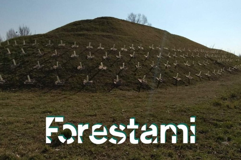 Sesto - PARTITO IL PROGETTO "FORESTAMI'