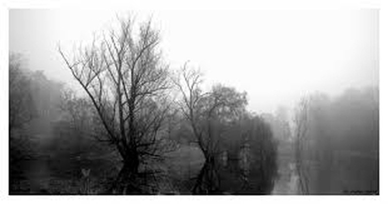 Meteo: l'alta pressione ci omaggia della nebbia e dello smog!