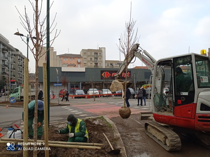 Sesto - PIANTUMAZIONI IN CORSO, 200 NUOVI ALBERI