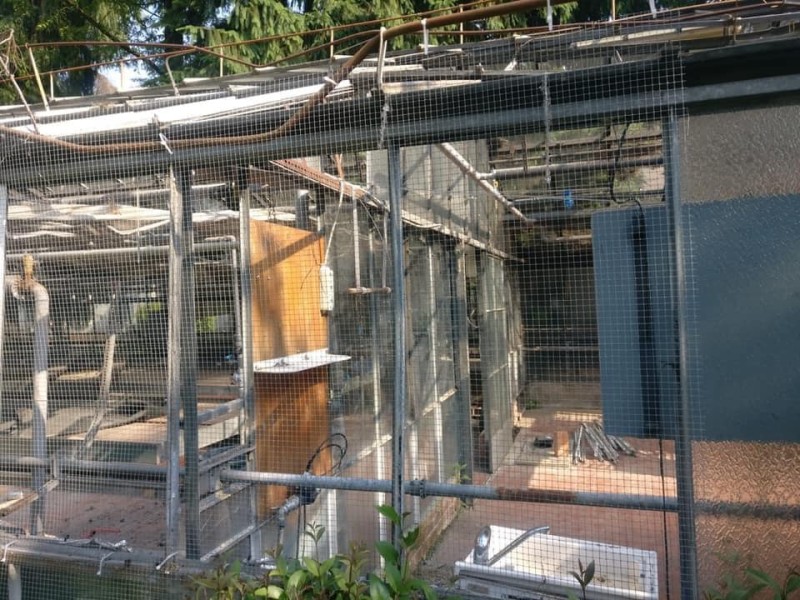 Sesto -  IL VIA AI LAVORI PER LA RISTRUTTURAZIONE DELLA SERRA ALLA VILLA MILIUS
