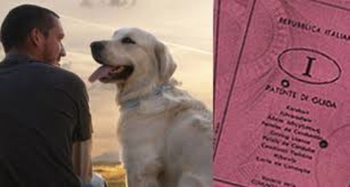 Sesto - Animali 22 febbraio e 7 marzo Corso per il patentino cani
