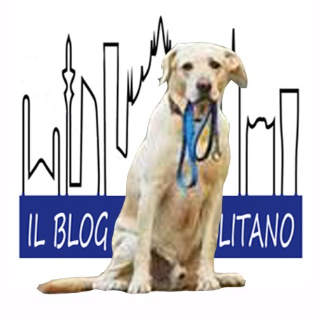 🛑CORONAVIRUS - aggiornamento passeggiata "CANI"
