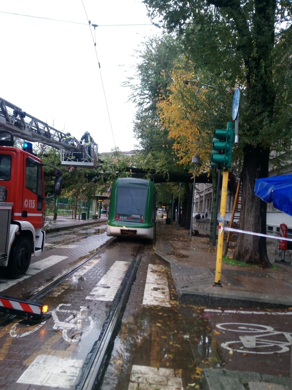 Cinisello - metro tranvia un albero cade sul tetto