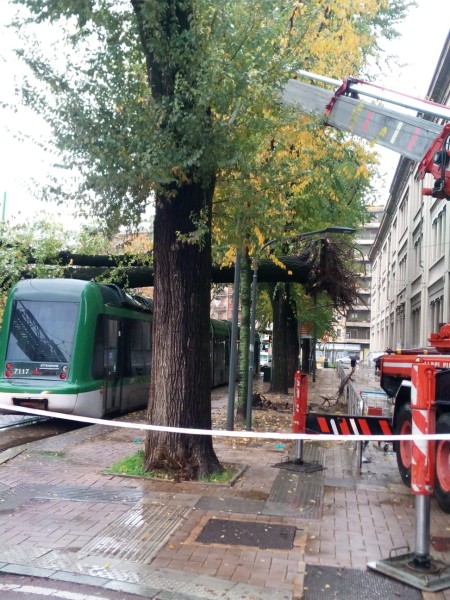 Cinisello - metro tranvia un albero cade sul tetto
