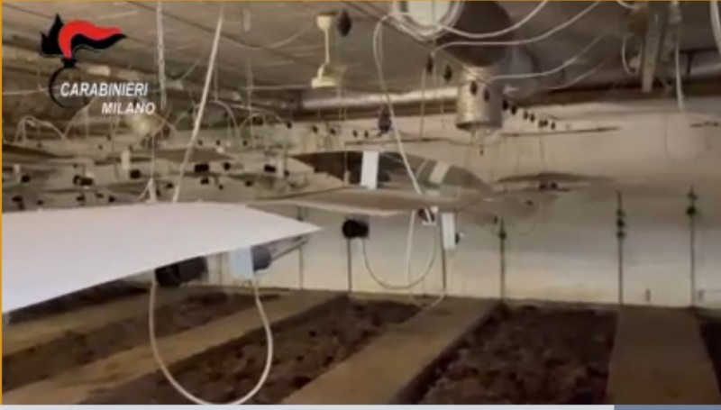 Sotto la tangenziale di Milano bunker per la coltivazione di marijuana, scoperto dai Carabinieri della Compagnia di Sesto San Giovanni 