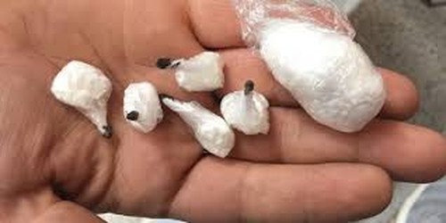Sesto - spaccia cocaina con i figli minori al seguito