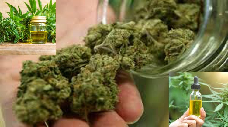 Sesto - Anarchico arrestato con droga, olio di marijuana e volantini contro la polizia