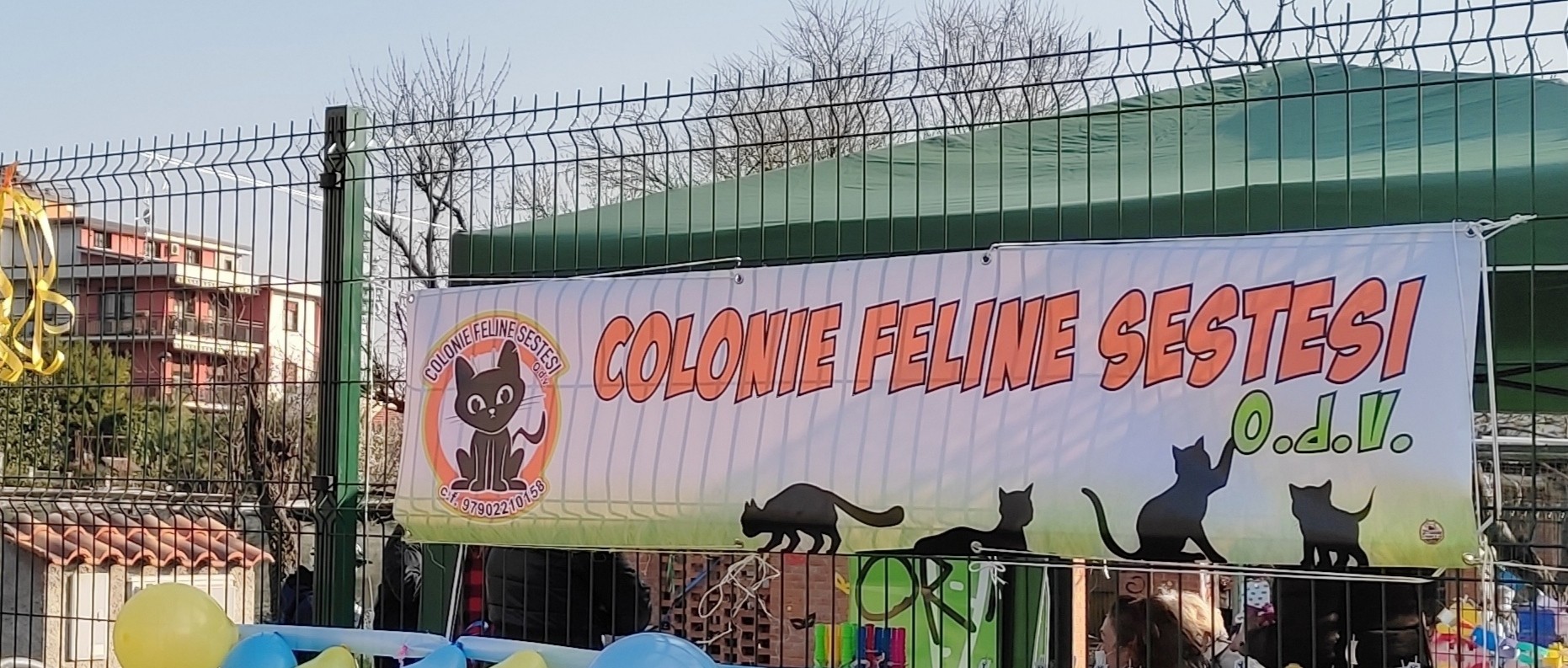 Sesto - FESTA DI CARNEVALE ALL' OASI FELINA