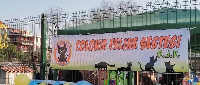 Sesto - FESTA DI CARNEVALE ALL' OASI FELINA