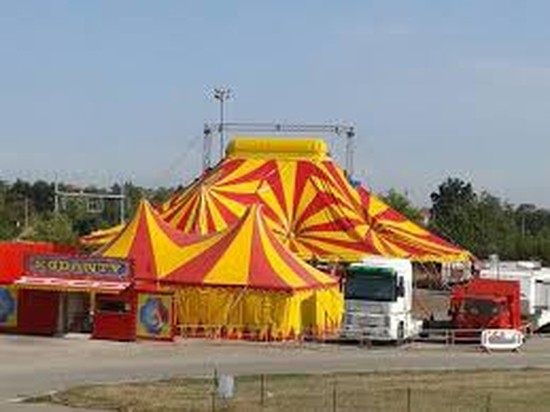 Sesto - arriva il circo, ma senza animali