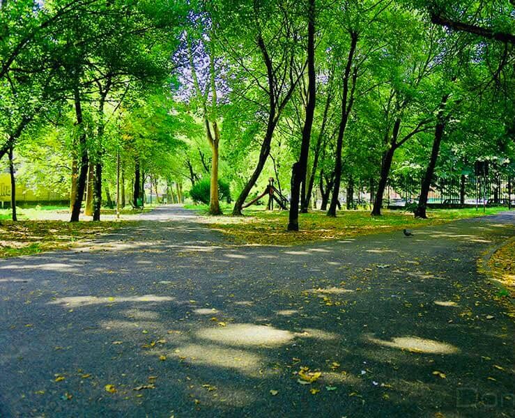 Sesto - RIQUALIFICAZIONE GIARDINO VIA PISA/GRANDI