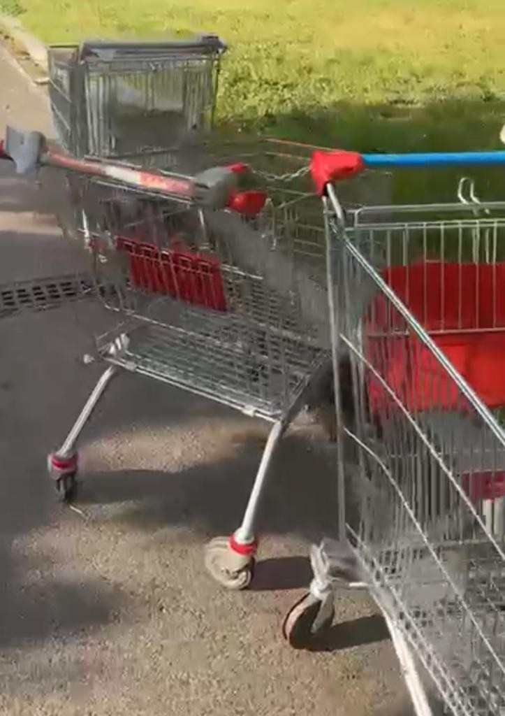 Sesto - ABBANDONO CARRELLI DELLA SPESA PER STRADA, L’ORDINANZA PREVEDE: FINO A 300 EURO DI MULTA PER I TRASGRESSORI!