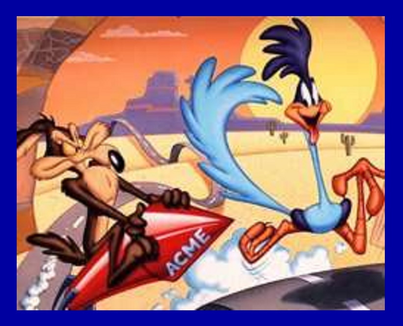 Accadde oggi - 16 Settembre 1949 - Debutta Wile E. Coyote